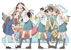 ヤマノススメ　ＢＤ＆ＤＶＤ　新特装版